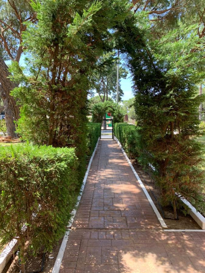 Appartement A Pie De Playa El Portil